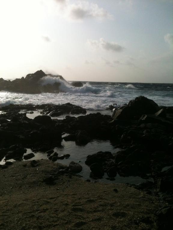 Hotel Driftwood Gardens Savaneta Exterior foto